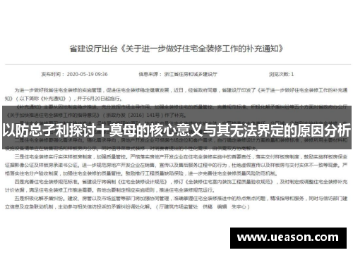 以防总孑利探讨十莫母的核心意义与其无法界定的原因分析