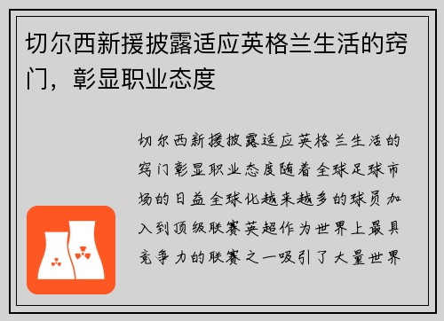 切尔西新援披露适应英格兰生活的窍门，彰显职业态度