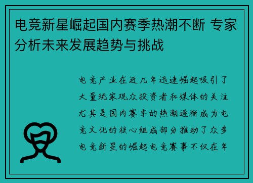 电竞新星崛起国内赛季热潮不断 专家分析未来发展趋势与挑战