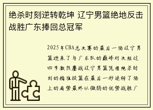 绝杀时刻逆转乾坤 辽宁男篮绝地反击战胜广东捧回总冠军